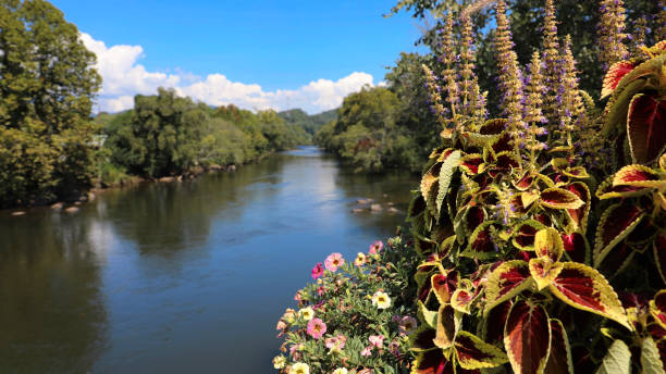 istock Tuckaseegee River with Coleus and Flowers 1351898535