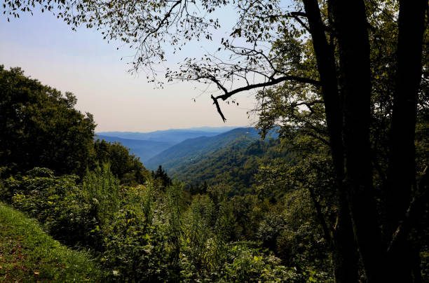 istock Mountain Gap Over the Hills and Through the Tree 1351899114