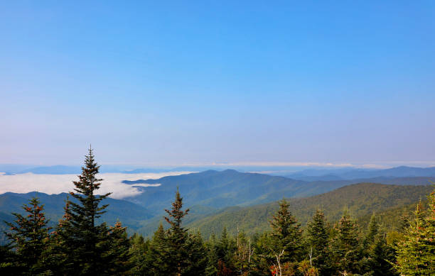 istock Great Smoky Mountains with Cloud Cover 1351899283