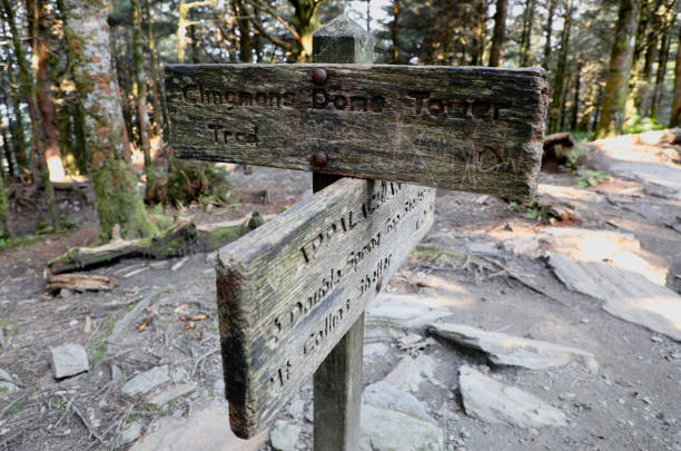 istock Appalachian Trail and Clingmans Done Marker 1351899493