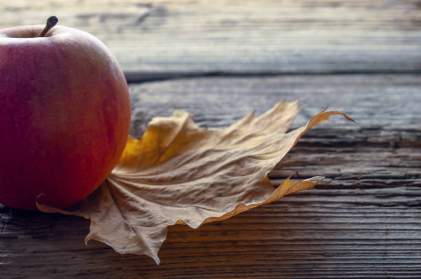 istock apple and yellow autumn leaf on old textured wood background 1351903071