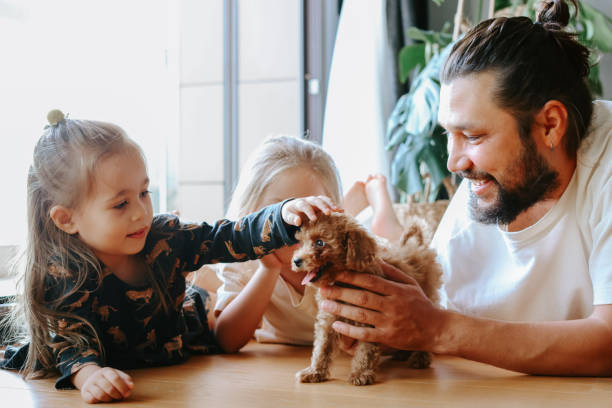istock Happy father and daughters having fun with their toy poodle on the sofa 1351906840