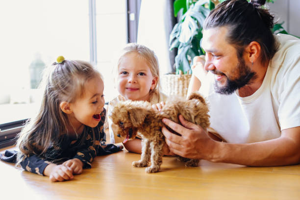 istock Happy father and daughters having fun with their toy poodle on the sofa 1351906895