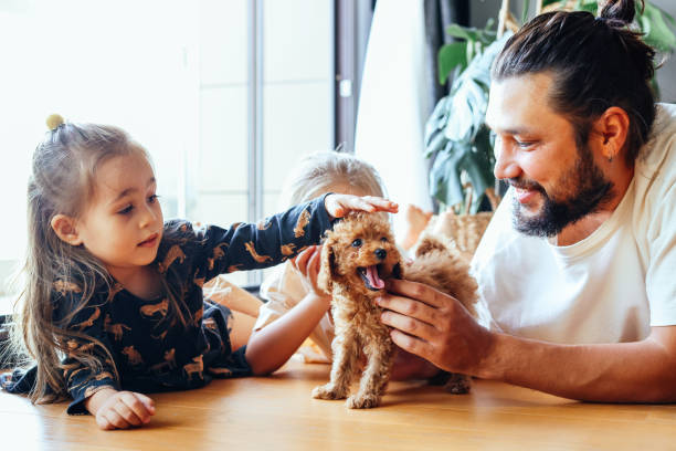 Happy father and daughters having fun with their toy poodle on the sofa