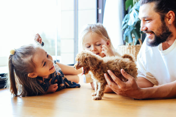 istock Happy father and daughters having fun with their toy poodle on the sofa 1351906943