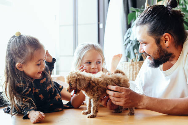 istock Happy father and daughters having fun with their toy poodle on the sofa 1351907013