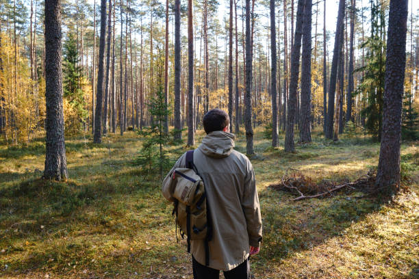 istock A man with a backpack on an empty road walks forward along the forest. Hike along the hiking trail. Outdoor adventure. Travel and exploration. Healthy lifestyle, active rest 1351907657