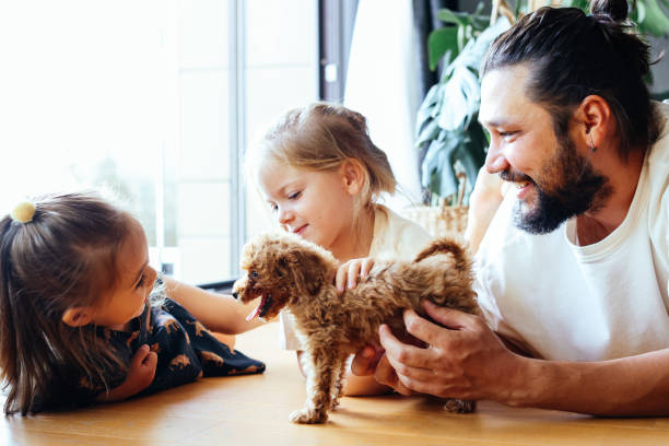 istock Happy father and daughters having fun with their toy poodle on the sofa 1351907661