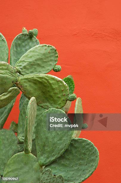 Orange Wand Stockfoto und mehr Bilder von Feigenkaktus - Feigenkaktus, Kaktus, Orange - Farbe