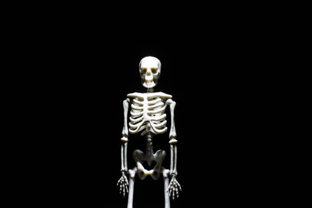 istock Human skeleton model in the dark closeup 1351913738