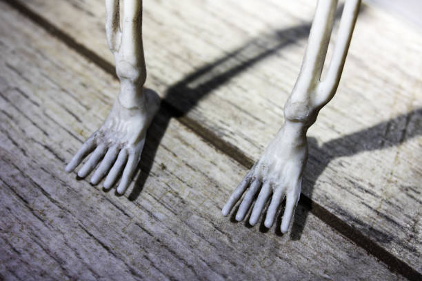 istock Human skeleton walks on ground in dark 1351913772