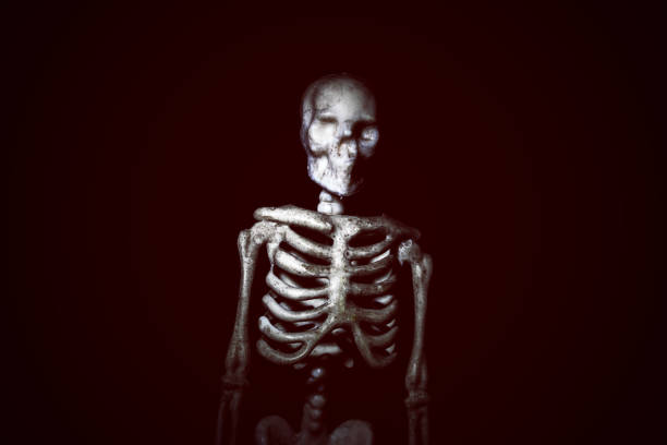 istock Human skeleton model in the dark closeup 1351913914