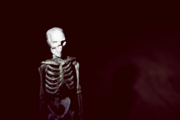 istock Human skeleton model in the dark closeup 1351913925