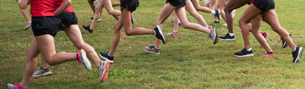 vista lateral de chicas corriendo rápido a través de un campo al comienzo de una carrera de campo a través - carrera de campo través fotografías e imágenes de stock