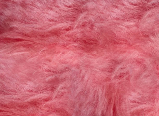 istock pink fur background texture, nature wool fluffy ,animal wool texture 1351924099