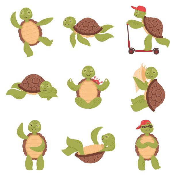 Cartoon cute turtles, funny tortoise characters. Happy little turtle swimming, sleeping or doing yoga, sea aquatics animal vector set vector art illustration