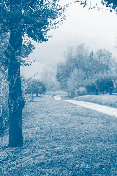 Morning in foggy day, countryside landscape