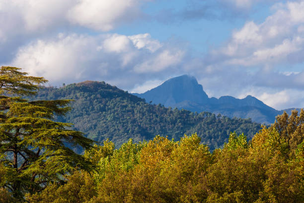 istock Apennines in Tuscany 1351933500