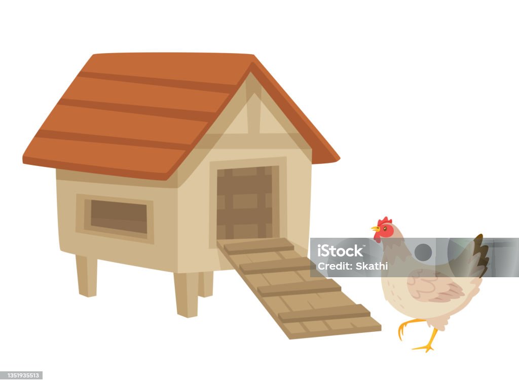 chicken_hatch_stage Hen near the henhouse. Vector cartoon style illustration isolated on white background. Chicken Coop stock vector