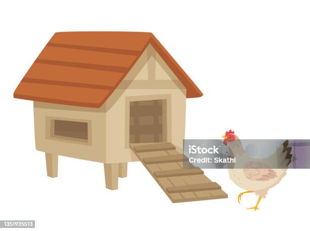Chickenhatchstage Stock Illustration - Download Image Now - Chicken Coop, Chicken - Bird, House