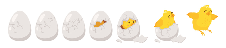 Hatching Process Icon Hatching Process Vector Illustration Isolated On White Stock ...