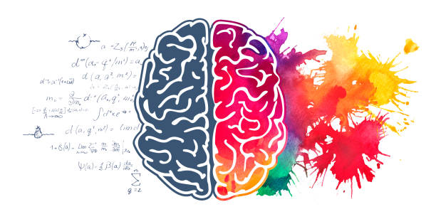 istock Left and right hemisphere of human brain watercolor illustration 1351935622