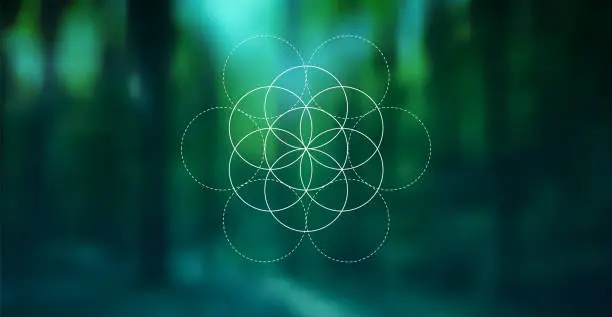 Vector illustration of Vector blurred background of forest and trees and symbol Flower of Life