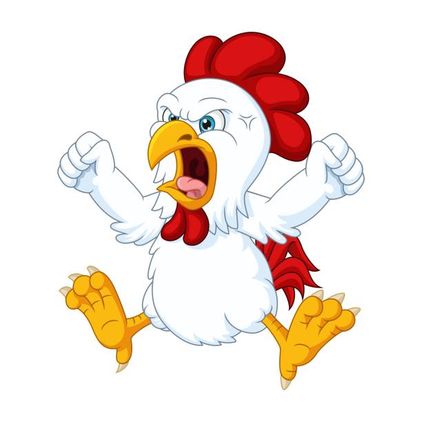 Cartoon angry chicken on white background Vector Illustration of Cartoon angry chicken on white background scared chicken cartoon stock illustrations