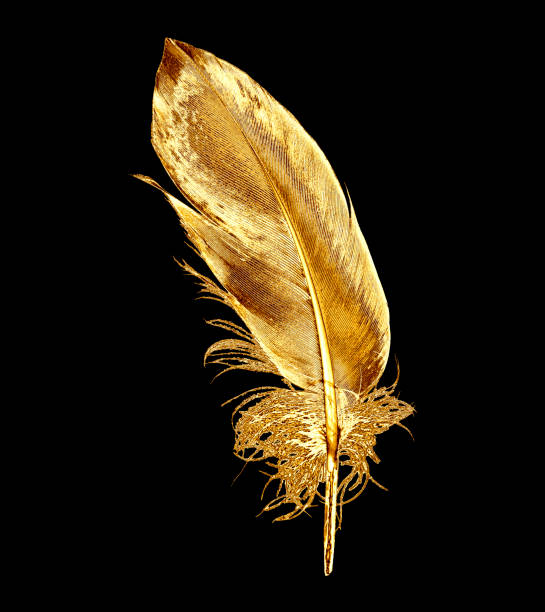 Gold Feather Isolated On Black Background Stock Photo - Download Image Now  - Feather, Gold - Metal, Gold Colored - iStock