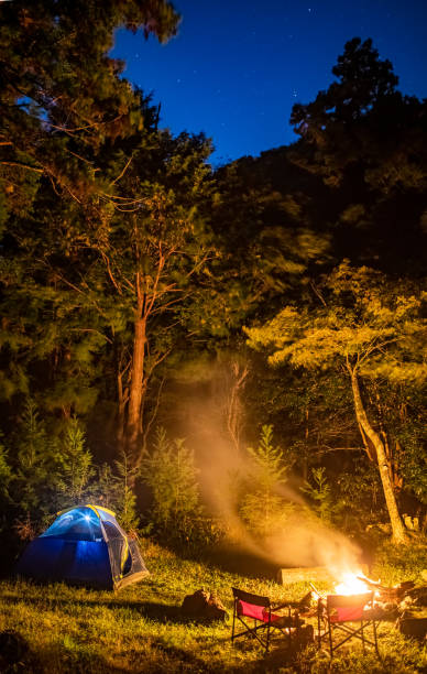 istock Night camping scene with tent and campfire below a starry sky 1351943716