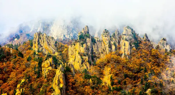 Autumn scenery of Wolchulsan National Park in Yeongam-gun, Jeollanam-do