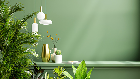 Green wall mockup with green plant and shelf.3D rendering