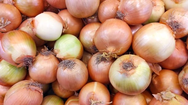 istock Pile of onions 1351948255