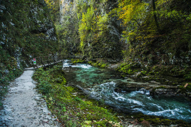 Vintgar Gorge (Soteska Vintgar) in Triglav National Park in Slovenia stock photo