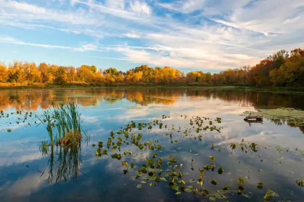 Photo of Scenery of John Heinz National Wildlife Refuge at Tinicum in Autumn