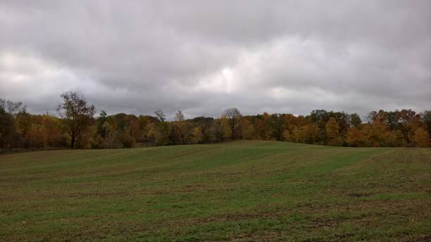 istock Gloomy Autumn Field 1351952064