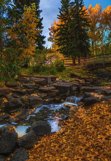 istock Mini Waterfall Flowing Through An Autumn Park 1351954594
