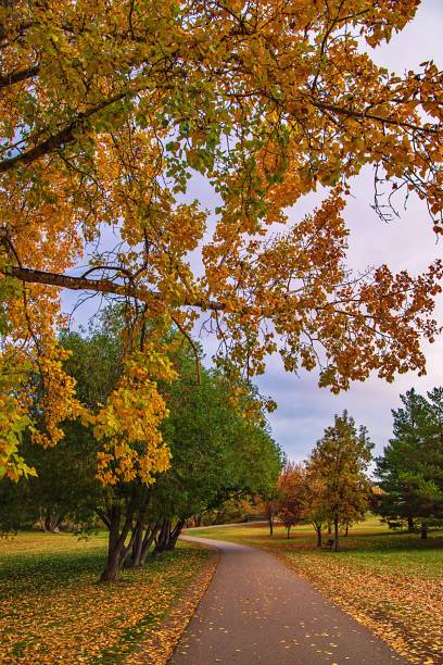 istock Road Leading Through An Autumn Park 1351954667