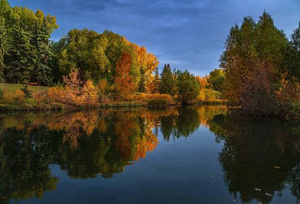 istock Autumn Trees Reflected On The Water 1351954782