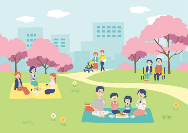 иллюстрация людей, наблюдающих за цветением сакуры - grass area illustrations stock illustrations