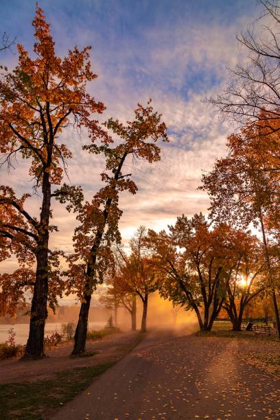 istock Walking Through A Fall Park At Sunrise 1351956640