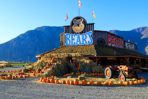 Keremeos, British Columbia, Canada - September 30, 2021: Bear's fruit stand and farmers market display and arrangement of winter squash celebrating the autumn harvest and Thanksgiving.