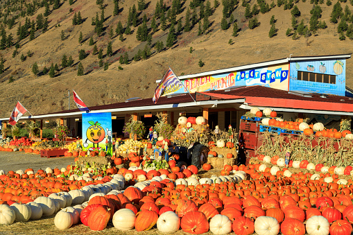 Keremeos, British Columbia, Canada - September 30, 2021: The Peach King fruit stand and farmers market display and arrangement of winter squash celebrating the autumn harvest and Thanksgiving.