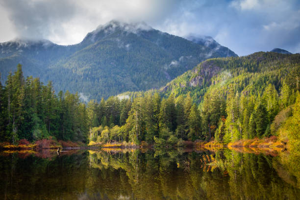 istock Vancouver Island Wilderness Area 1351964917