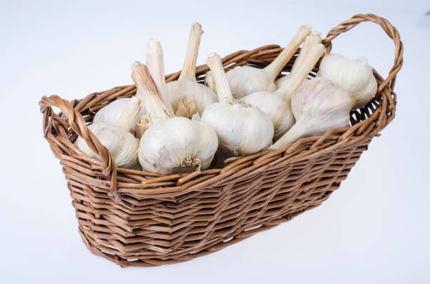 istock Wicker basket with fresh organic farming garlic 1351968227