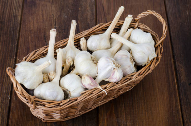 istock Wicker basket with fresh organic farming garlic 1351968233