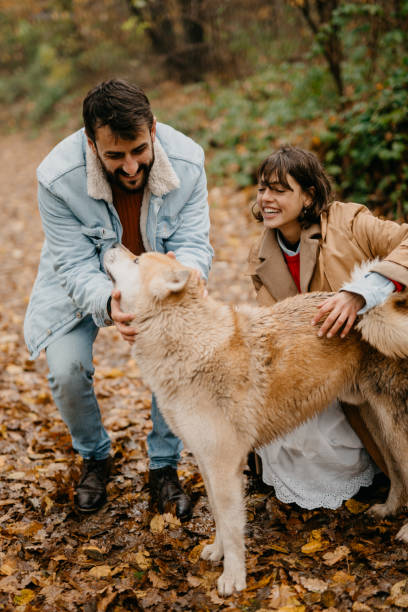 istock Who is our favorite pet 1351968293