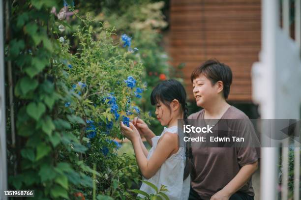 Asian Chinese Mother And Daugther Enjoying Bonding Time Together At Backyard Garden During Weekend Leisure Activity Stock Photo - Download Image Now