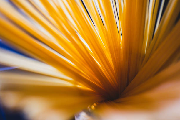 Close up view of dried spaghetti pasta over dark background.