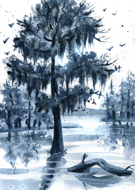 istock Nautical painting with louisuana swamp, cypress tree and spanish moss 1351969580